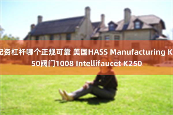 配资杠杆哪个正规可靠 美国HASS Manufacturing K250阀门1008 Intellifaucet K250