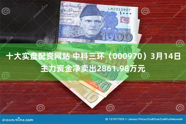 十大实盘配资网站 中科三环（000970）3月14日主力资金