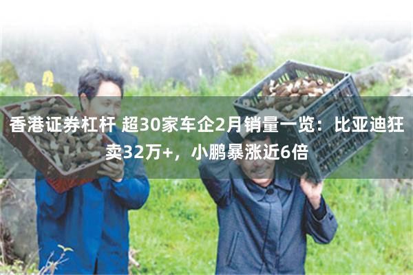 香港证券杠杆 超30家车企2月销量一览：比亚迪狂卖32万+，