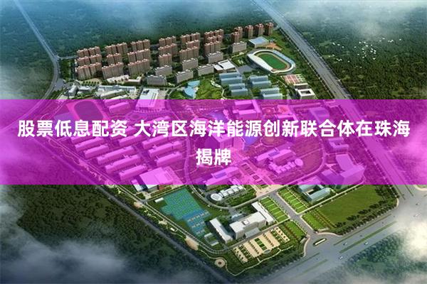 股票低息配资 大湾区海洋能源创新联合体在珠海揭牌