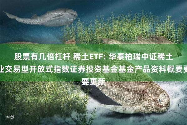 股票有几倍杠杆 稀土ETF: 华泰柏瑞中证稀土产业交易型开放
