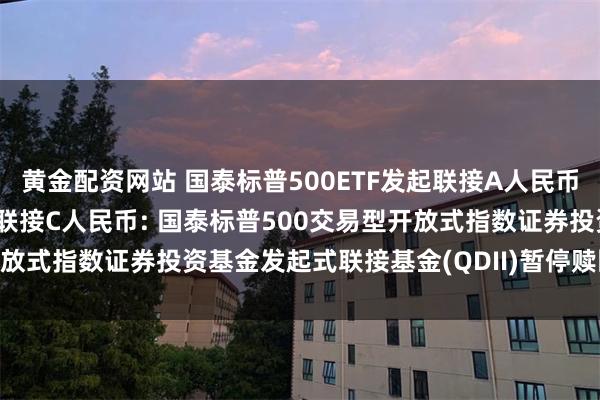 黄金配资网站 国泰标普500ETF发起联接A人民币,国泰标普