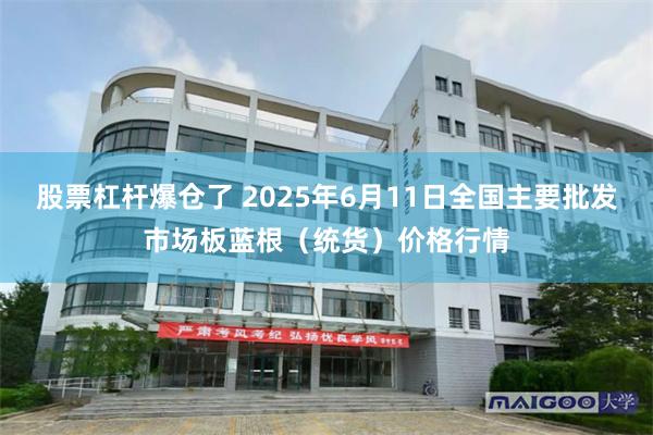 股票杠杆爆仓了 2025年6月11日全国主要批发市场板蓝根（