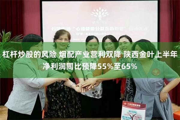 杠杆炒股的风险 烟配产业营利双降 陕西金叶上半年净利润同比预