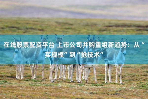 在线股票配资平台 上市公司并购重组新趋势：从“买规模”到“抢